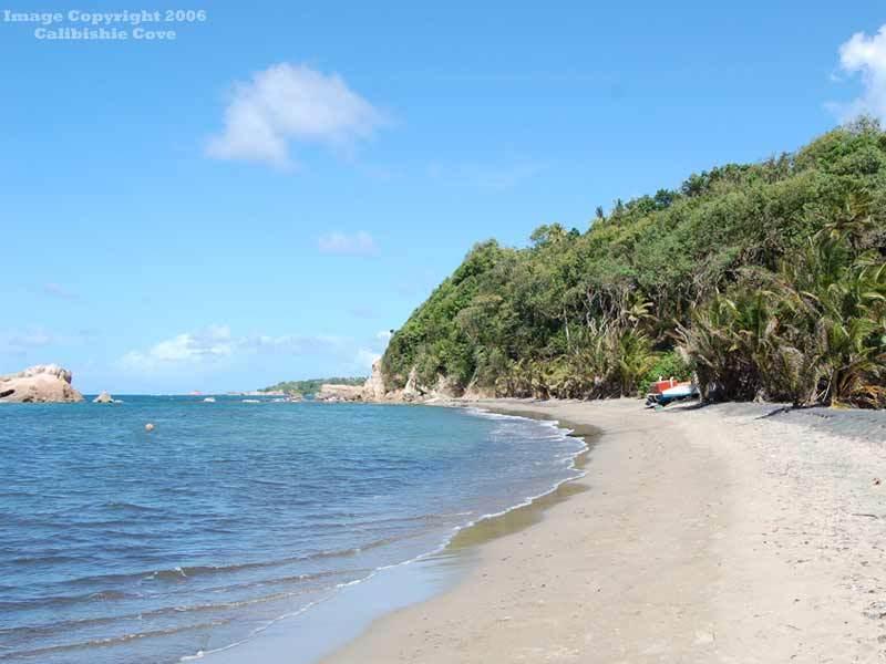 Calibishie Cove Hotel Съоръжения снимка